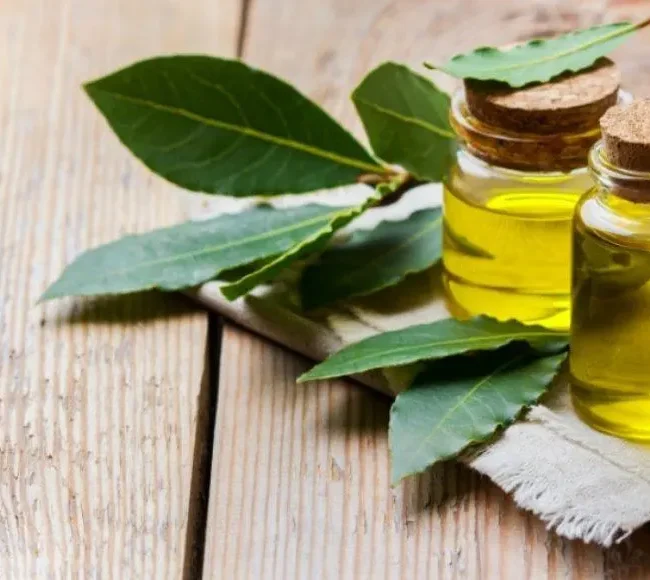 Μπουκαλάκια με δαφνέλαιο πάνω σε τραπέζι - Seamuse|Φύλλα δάφνης πράσινα - Seamuse|Μπουκάλι με δαφνέλαιο και φύλλα δάφνης - Seamuse