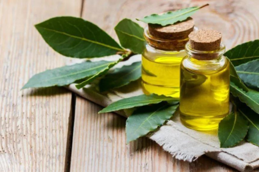 Μπουκαλάκια με δαφνέλαιο πάνω σε τραπέζι - Seamuse|Φύλλα δάφνης πράσινα - Seamuse|Μπουκάλι με δαφνέλαιο και φύλλα δάφνης - Seamuse