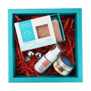 Χριστουγεννιάτικο Κουτί Δώρου με 3 Προϊόντα Ενυδάτωσης Προσώπου - Seamuse