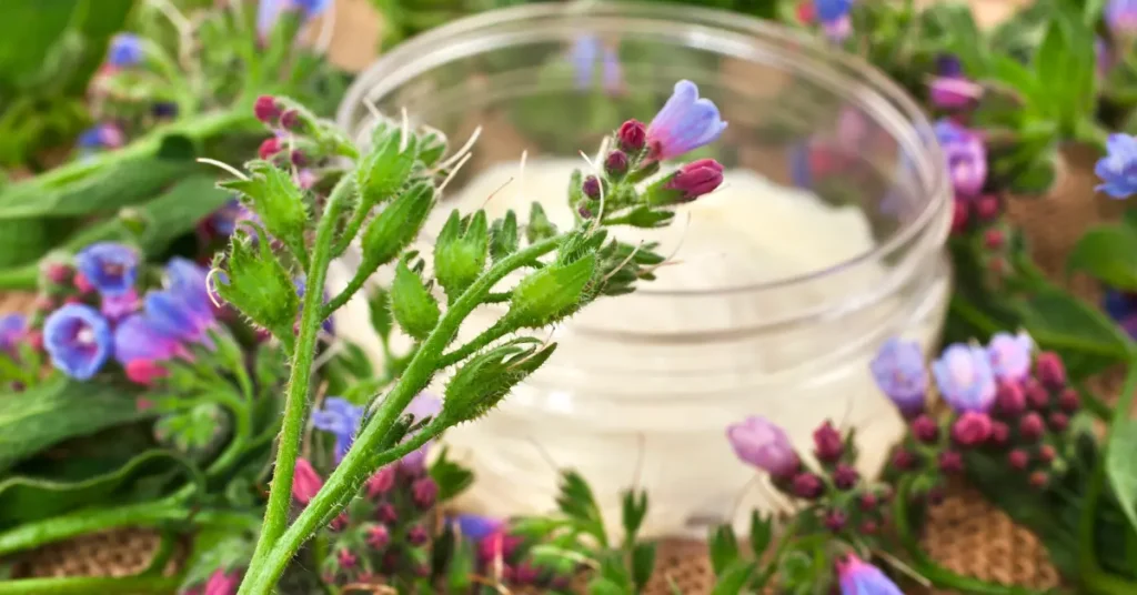 Αλλαντοΐνη φυτό και κρέμα σε γυάλινο βάζο