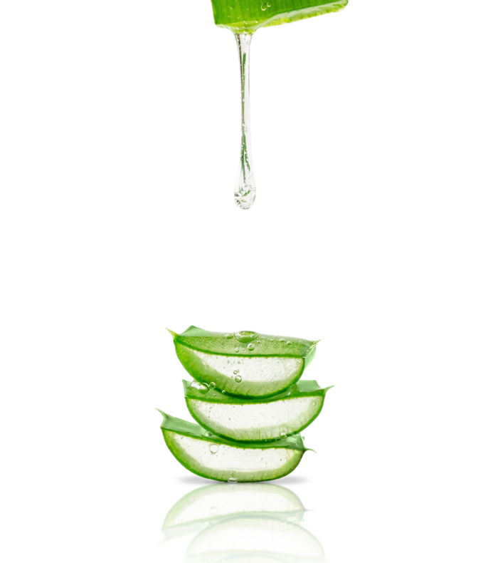 Σαμπουάν για amenities ξενοδοχείων συσκευασία 5 λίτρα, Seamuse - Image 2