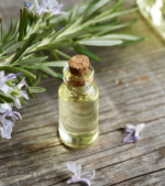 Σαμπουάν για amenities ξενοδοχείων συσκευασία 5 λίτρα, Seamuse - Image 3